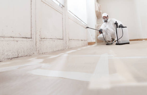 24/7 Emergency Basement Mold Removal experts in Marysville, PA