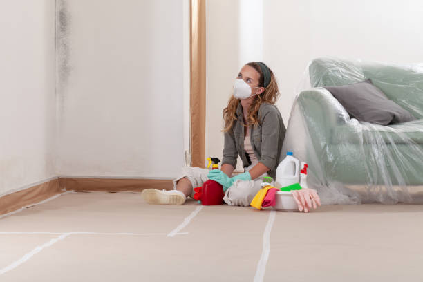 Reliable Basement Mold Removal contractor in Marysville, PA by WQB Mold Removal